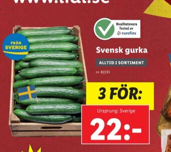 Lidl Gurka erbjuda