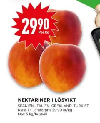 Top nektariner