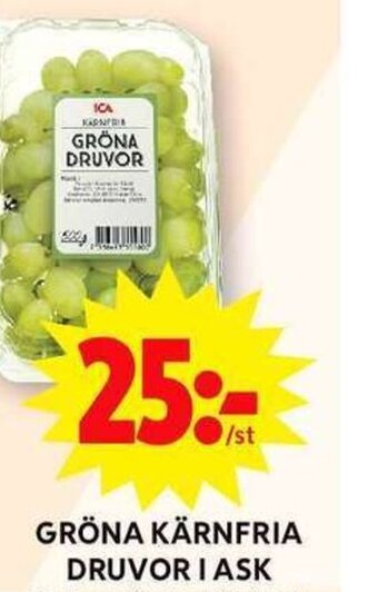 GRÖNA KÄRNFRIA DRUVOR I ASK