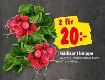 City Gross Rädisor i knippe erbjuda