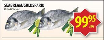 Matvärlden Tensta Seabream/guldsparid erbjuda