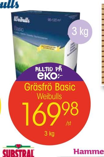 EKO Gräsfrö basic erbjuda