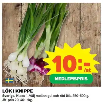 Coop Extra Lök i knippe erbjuda