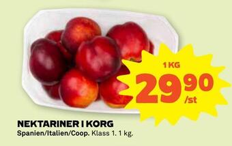 Coop Forum Nektariner i korg erbjuda