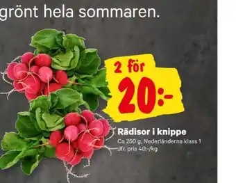 City Gross Korvbröd rädisor erbjuda