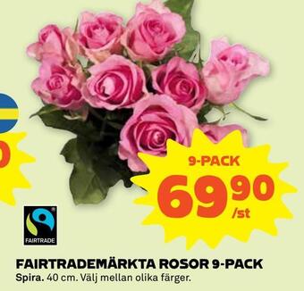 Stora Coop Fairtrademärkta rosor 9-pack erbjuda