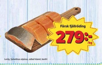 Östenssons Leröy fjällröding erbjuda
