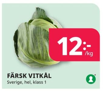 Tempo Garant vitkål erbjuda