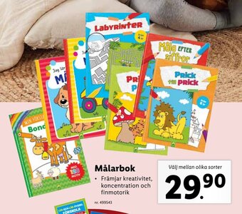 Lidl Målarbok erbjuda