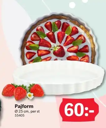 DollarStore Sence ugnsformar erbjuda
