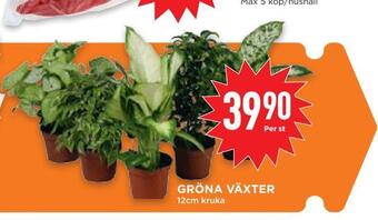 Willys Hemma Gröna växter erbjuda