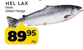 Matrix Butikerna HEL LAX erbjuda