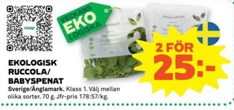 Stora Coop EKOLOGISK RUCCOLA/ BABYSPENAT erbjuda