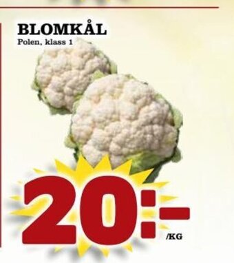 Supergrossen BLOMKÅL erbjuda
