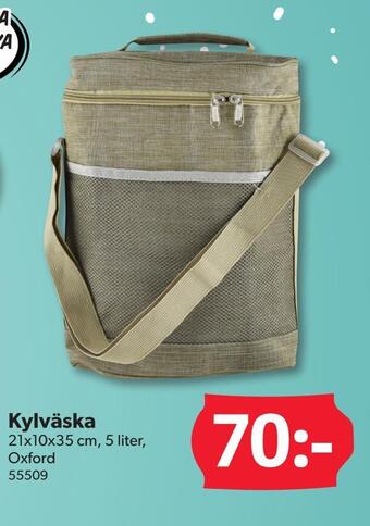 DollarStore Kylväska erbjuda