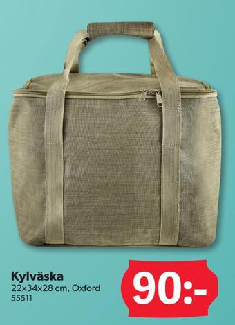 DollarStore Kylväska erbjuda