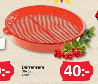 Bärrensare