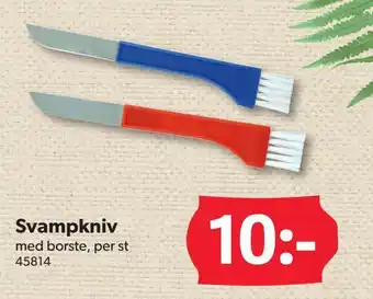 DollarStore Svampkniv erbjuda