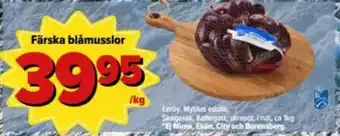 Östenssons Leröy Färska blåmusslor 1kg erbjuda