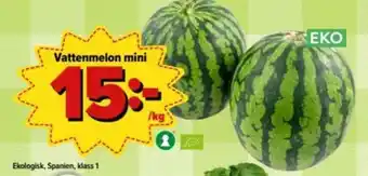 Ekologisk Vattenmelon mini