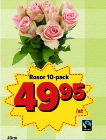Rosor 10-pack