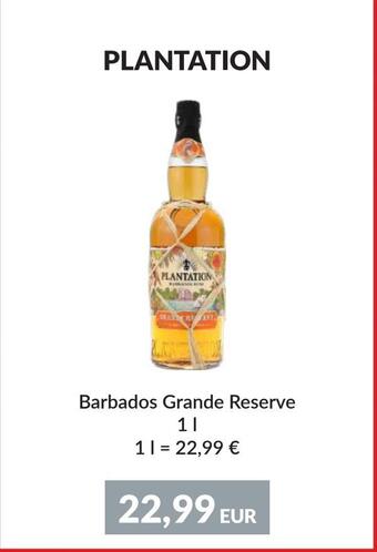 Nielsen Discount Plantation erbjuda