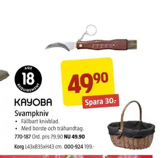 Svampkniv