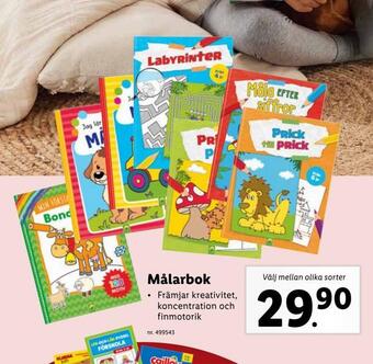 Lidl Målarbok erbjuda