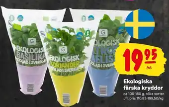 Ekologiska färska kryddor