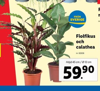 Lidl Hot wheels plantor erbjuda