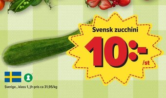 Svensk zucchini