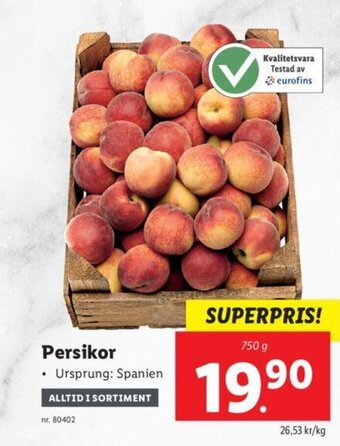 Persikor