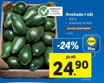 Lidl Avokado i nät erbjuda
