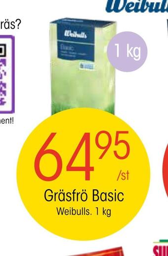 EKO Gräsfrö basic erbjuda