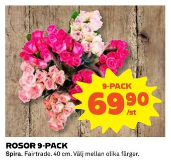 Coop Daglivs Rosor 9-pack erbjuda
