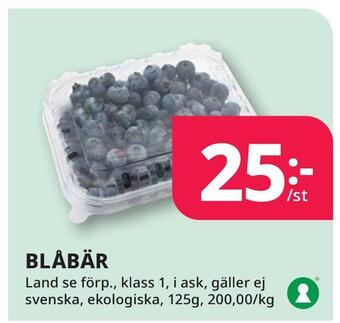 Tempo Blåbär erbjuda