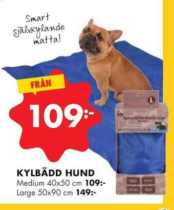 ÖoB Kylbädd hund erbjuda