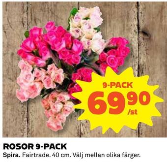 Rosor 9-pack