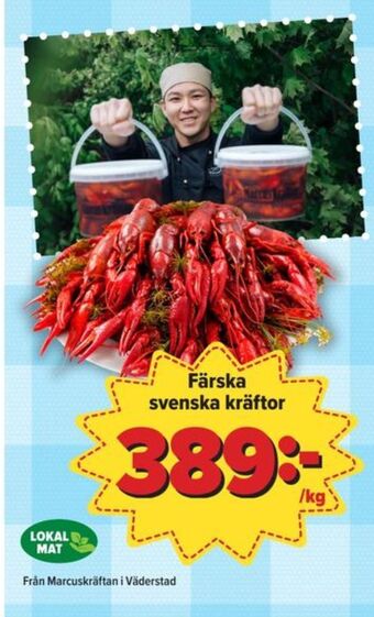 Östenssons Marcuskräftan kräftor erbjuda