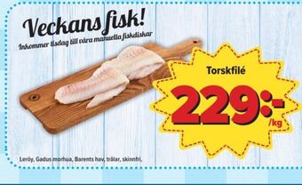 Östenssons Leröy torskfilé erbjuda