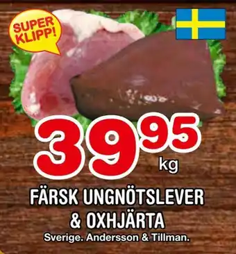 Färsk ungnötslever & oxhjärta