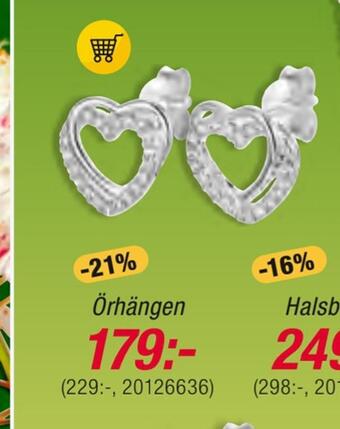 Guldfynd Örhängen erbjuda