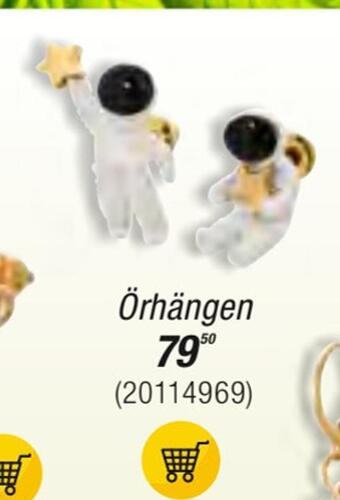 Guldfynd Örhängen erbjuda