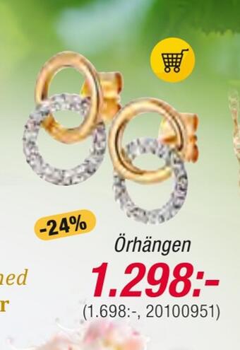 Guldfynd Örhängen erbjuda