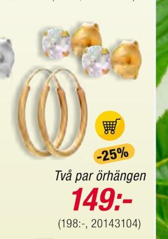 Guldfynd Örhängen i äkta silver erbjuda