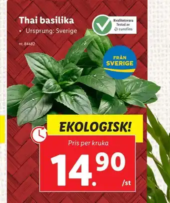 Lidl Thai basilika erbjuda