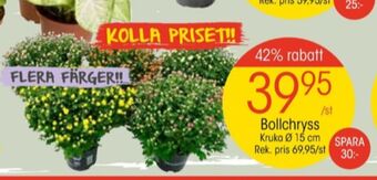 EKO Plantor erbjuda