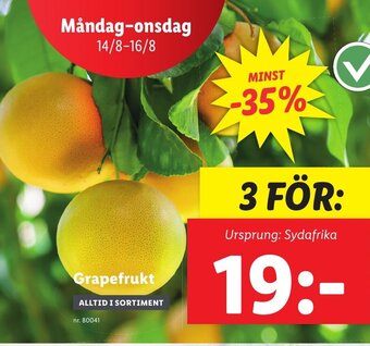 Lidl Grapefrukt erbjuda