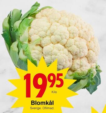 Matöppet Blomkål erbjuda