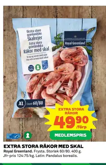 Extra stora räkor med skal
